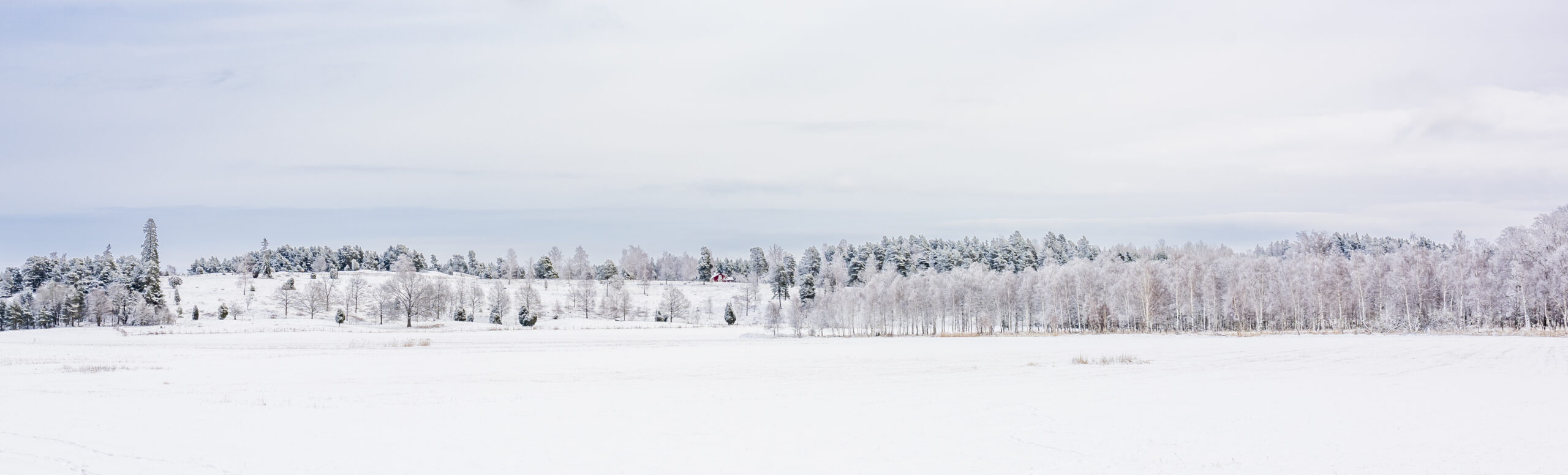 WEBBGALLERI.ÅSAGRAVFÄLT.VINTER.110323.J.HARRYSSON